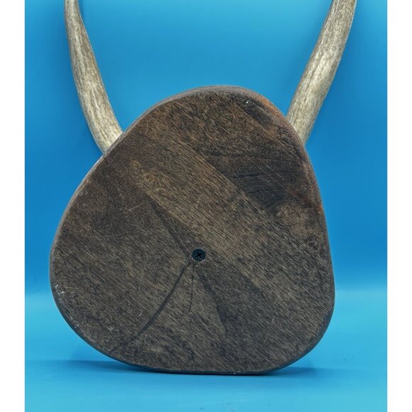 Rustic Mounted Deer Antler Display – Cabin Decor, Shed Antler on Wood Base - Picture 9 of 9